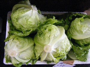 20080712-�{���̔����ł�-_4