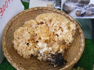 20080712-�{���̔����ł�-_5