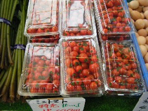 20080712-�{���̔����ł�-_6