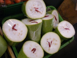 20080712-�{���̔����ł�-_8
