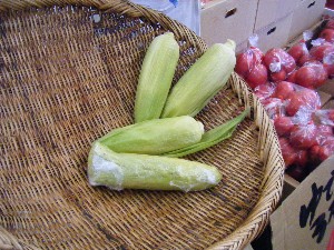 20080712-�{���̔����ł�-_11