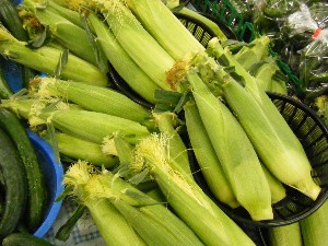 20080712-�{���̔����ł�-_15