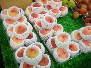 20080712-�{���̔����ł�-_17