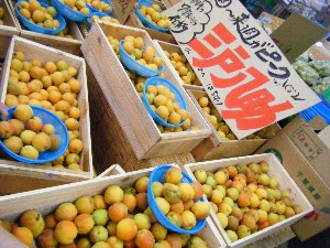20080712-�{���̔����ł�-_22