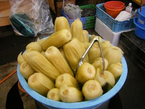 20080712-�{���̔����ł�-_24