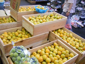 20080712-�{���̔����ł�-_25