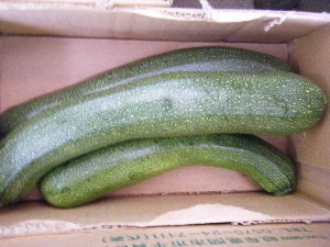20080712-�{���̔����ł�-_29