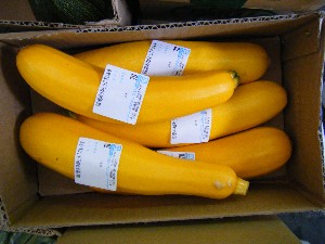 20080712-�{���̔����ł�-_30