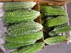 20080712-�{���̔����ł�-_31