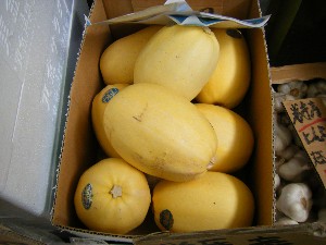 20080712-�{���̔����ł�-_32