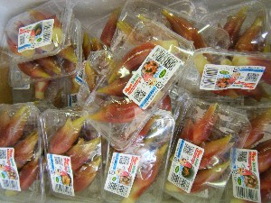 20080712-�{���̔����ł�-_33