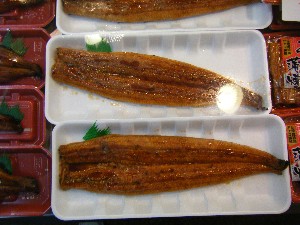 20080712-�{���̔����ł�-_38