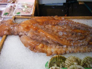 20080712-�{���̔����ł�-_40