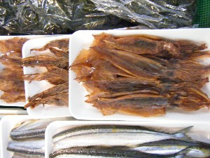 20080712-�{���̔����ł�-_45