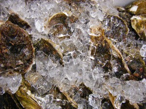20080712-�{���̔����ł�-_46