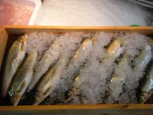 20080712-�{���̔����ł�-_50