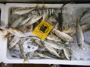 20080712-�{���̔����ł�-_52