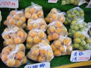 20080712-�{���̔����ł�-_3