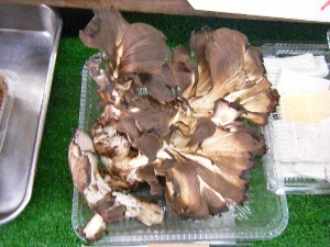 20080712-�{���̔����ł�-_4