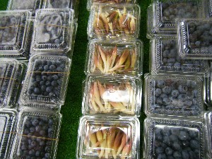 20080712-�{���̔����ł�-_5