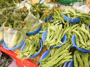 20080712-�{���̔����ł�-_9
