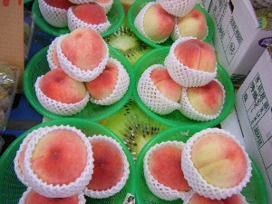 20080712-�{���̔����ł�-_15