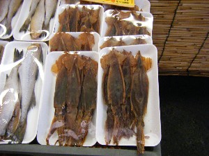 20080712-�{���̔����ł�-_1