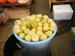 20080726-�{���̔����ł�-_2