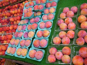 20080726-�{���̔����ł�-_3