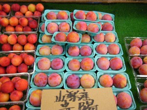 20080726-�{���̔����ł�-_4