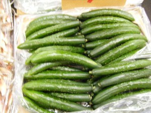 20080726-�{���̔����ł�-_7