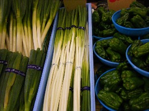 20080726-�{���̔����ł�-_10