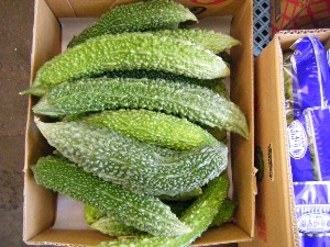 20080726-�{���̔����ł�-_22