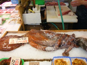 20080726-�{���̔����ł�-_27