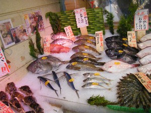 20080726-�{���̔����ł�-_29