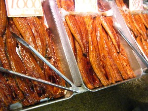 20080726-�{���̔����ł�-_30