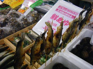 20080726-�{���̔����ł�-_38