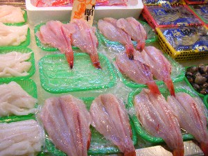20080726-�{���̔����ł�-_43