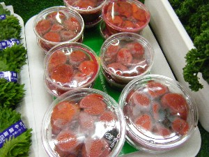 20080726-�{���̔����ł�-_1