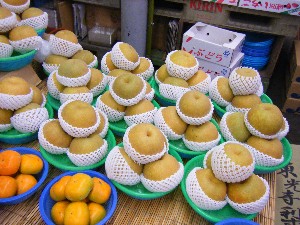 20080726-�{���̔����ł�-_3