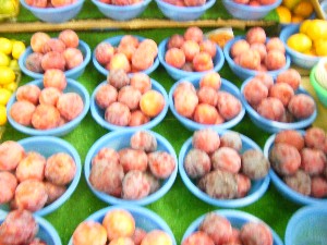 20080726-�{���̔����ł�-_6