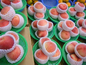 20080726-�{���̔����ł�-_7