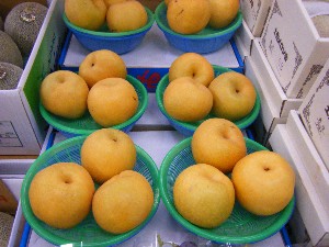 20080726-�{���̔����ł�-_8