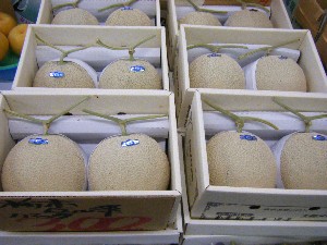 20080726-�{���̔����ł�-_9