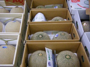 20080726-�{���̔����ł�-_10