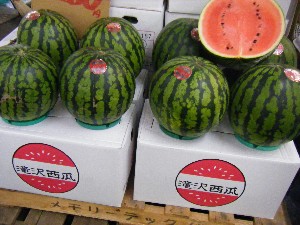 20080726-�{���̔����ł�-_25