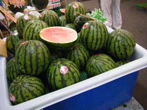 20080726-�{���̔����ł�-_26