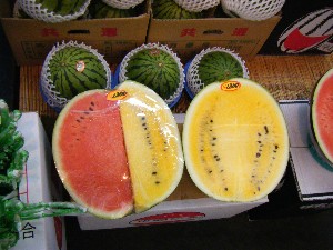 20080726-�{���̔����ł�-_27