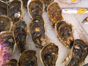 20080726-�{���̔����ł�-_34