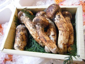20080726-�{���̔����ł�-_42